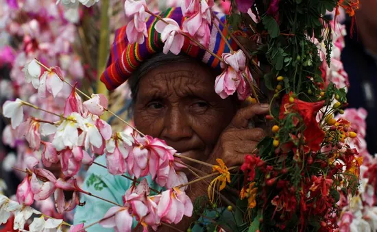 Lung linh lễ hội hoa ở El Savador