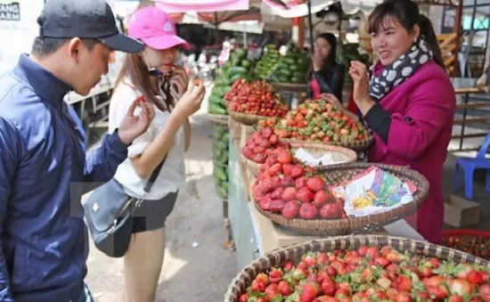 Festival Nông nghiệp - Ngư nghiệp Kiên Giang 2017: Hấp dẫn và đầy sức hút