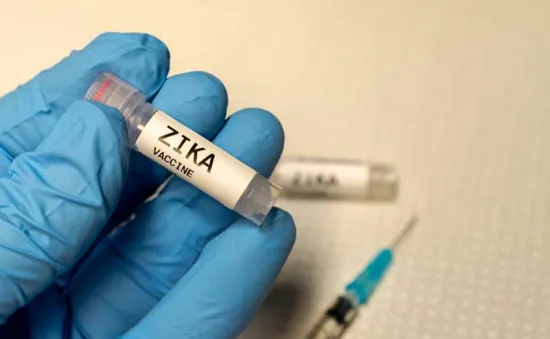 Mỹ: Thử nghiệm lâm sàng vaccine Zika giai đoạn 2 trên người