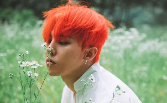 Fan chơi trội, xây dựng khu rừng G-Dragon đầu tiên ở Jeju