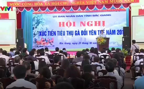 Xúc tiến tiêu thụ gà đồi Yên Thế, Bắc Giang