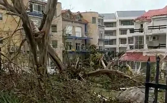 Barbuda trở thành “đảo ma” sau siêu bão Irma