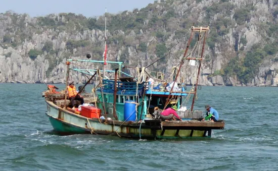 Kiên Giang: 40 đối tượng gây rối tại trụ sở Công an xã