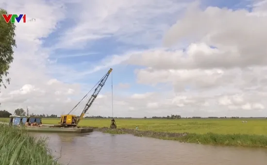 An Giang gia cố đê bao ngăn lũ, bảo vệ lúa