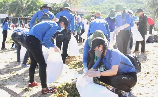 Đoàn viên thanh niên Bình Định tình nguyện làm sạch môi trường biển