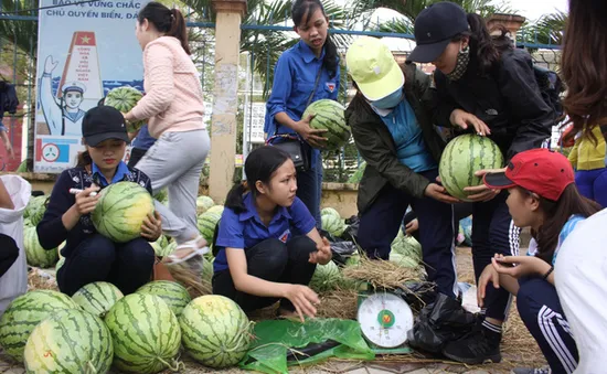 "Giải cứu" nông sản: Cần giải pháp căn cơ