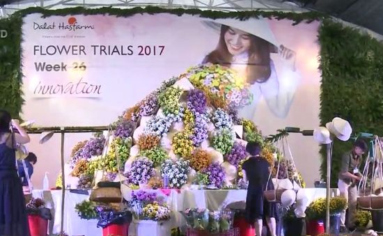 Việt Nam giới thiệu 200 giống hoa mới ra thế giới