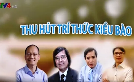 Chân dung 4 kiều bào trong Tổ tư vấn của Thủ tướng