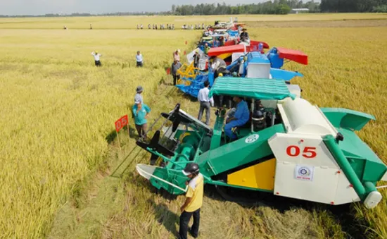 Hiệu quả hệ thống đê bao với đời sống dân sinh vùng ĐBSCL