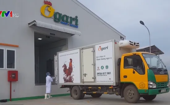 Giảm chi phí cho doanh nghiệp nhờ logistics tập trung