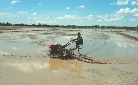 Ngừng sản xuất lúa vụ 3 để đón phù sa