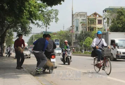 Thanh Hóa: Công an sử dụng súng bắn lưới để bắt "quái xế"