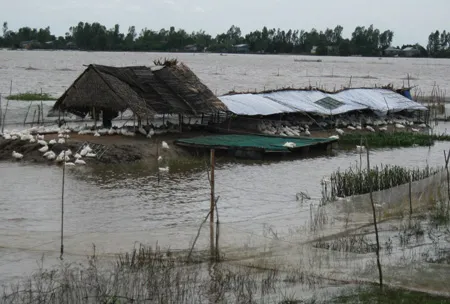 Công điện về việc chủ động ứng phó với mưa lũ ở ĐBSCL