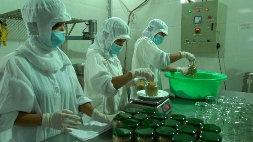 Ruốc hàu - Món ăn độc đáo của Quảng Ninh