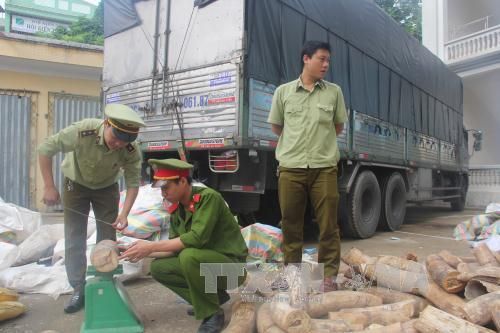 Thanh Hóa: Bắt vụ vận chuyển gần 2 tấn vật phẩm nghi ngà voi