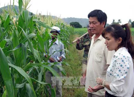 Hàng nghìn hộ dân Tây Nguyên nhận hỗ trợ sau hạn hán