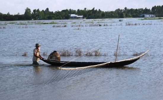 Lũ ở ĐBSCL đang xuống theo triều