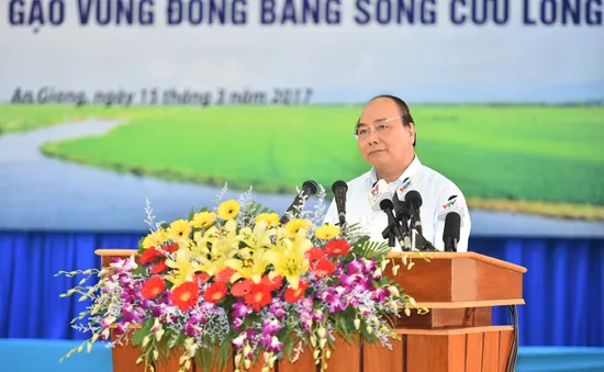 Thủ tướng: Cần một tầm nhìn mới cho hạt gạo Việt Nam