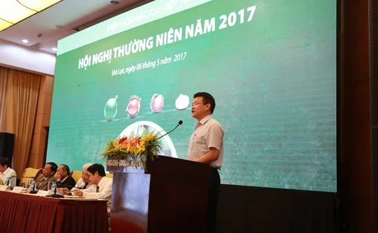 Hội nghị thường niên Hiệp hội Mắc ca Việt Nam