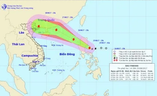 Tổ chức trực ban nghiêm túc 24/24 giờ đối với bão Pakhar