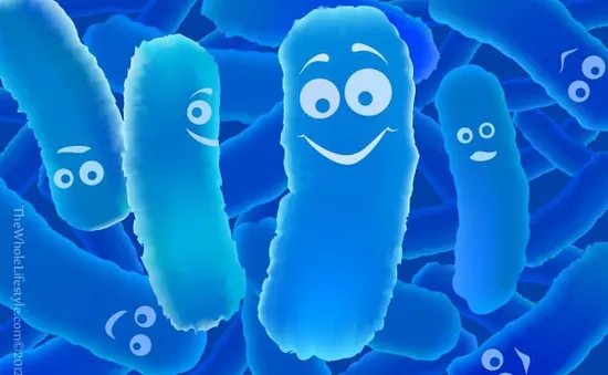 Probiotic có thể giúp ngăn ngừa trầm cảm