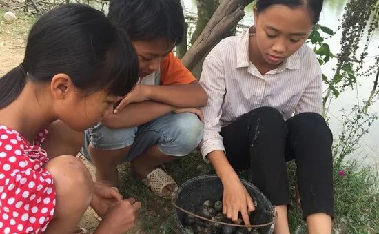 Bố chết, mẹ đau, 3 chị em mò ốc ăn vì hết gạo