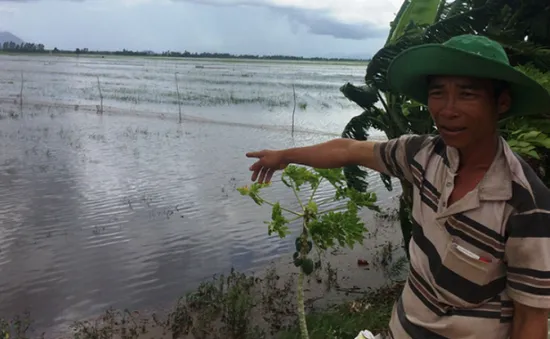 Thủy điện làm cạn phù sa về ĐBSCL