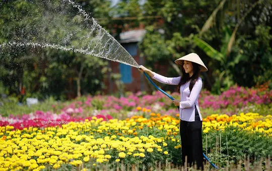 Tháng 8/2017, khởi công xây dựng đài quan sát làng hoa Sa Đéc