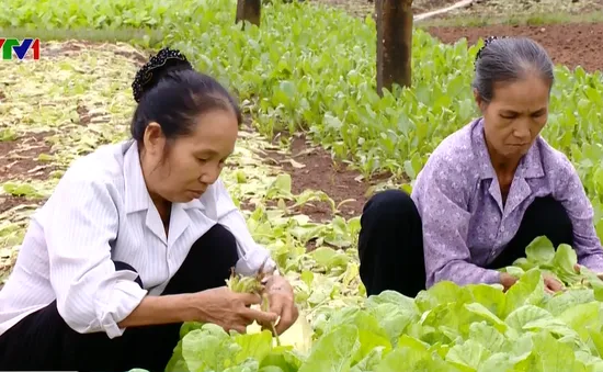 Nâng cao ý thức sản xuất an toàn cho nông dân