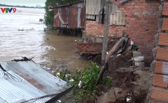 Sạt lở nghiêm trọng ở bờ sông Vĩnh Long