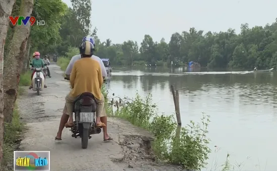 Nguy cơ mất đường nông thôn vì sạt lở nghiêm trọng ở Bạc Liêu