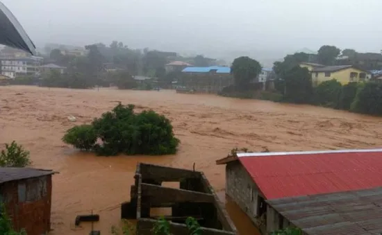 Sierra Leone khẩn trương cứu hộ nạn nhân vụ lở bùn kinh hoàng