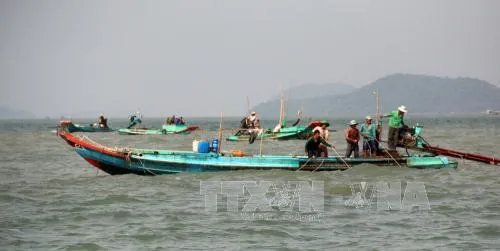 Ngư dân Kiên Giang bất an vì nạn cướp nghêu, sò