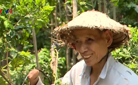 Người thương binh ở Bến Tre - Điểm tựa của học trò nghèo