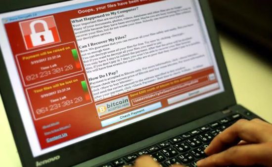 6 cơ quan tại TP.HCM bị mã độc WannaCry xâm nhập