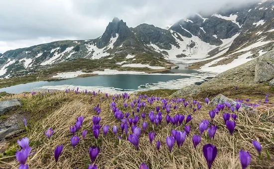 Không chỉ có hoa hồng, Bulgaria còn mê hoặc du khách vì điều này!