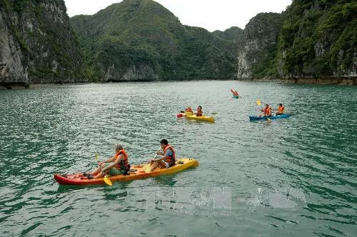 Hạ Long đình chỉ các đơn vị kinh doanh dịch vụ chèo thuyền kayak sai quy định