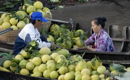 54 đề án xúc tiến nâng cao chuỗi giá trị thực phẩm ĐBSCL