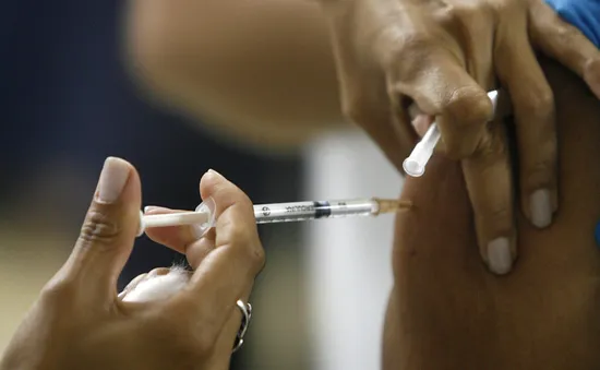 Brazil thực hiện chiến dịch tiêm vaccine ngừa bệnh sốt vàng da