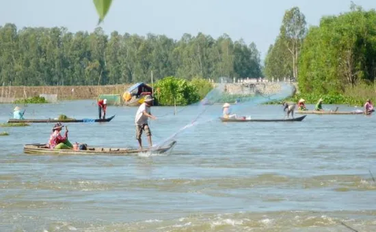 Người dân vùng đầu nguồn phấn khởi đón cá mùa nước nổi