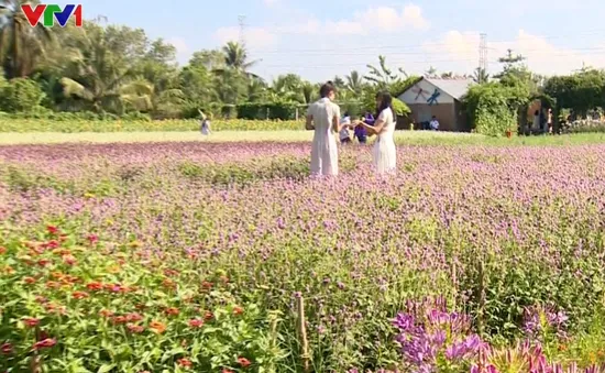 Thành công từ làm du lịch kiểu vườn hoa Đà Lạt