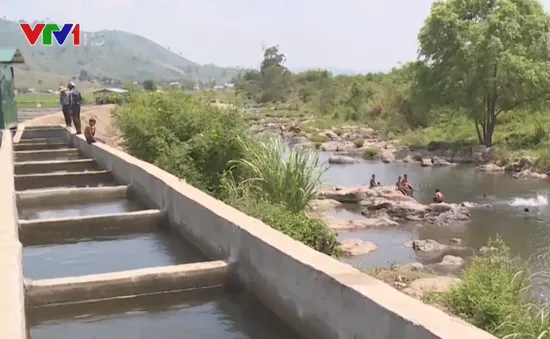 Đăk Lăk: Doanh nghiệp tự ý xây đập, ngăn suối để nuôi cá