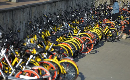 Mobike và Ofo lên kế hoạch sáp nhập dịch vụ xe đạp chia sẻ