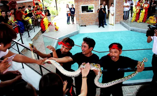 Thú vị ngôi nhà xiếc rắn Nha Trang Snake Show