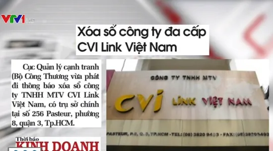 Xóa sổ Công ty đa cấp CVI Link Việt Nam