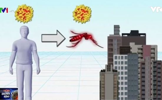 Dịch sốt vàng da tại Brazil sẽ bùng phát thành đại dịch Zika mới?