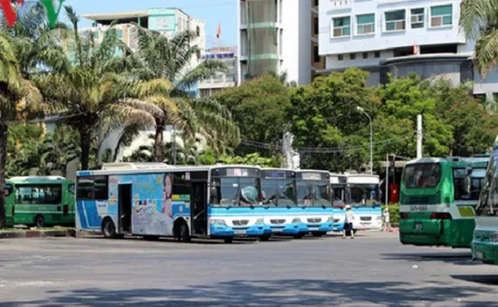 TP.HCM: Lượng khách sử dụng xe bus thí điểm tăng 10%