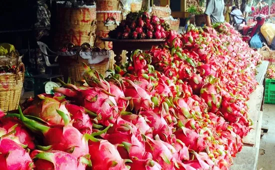 Thanh long rớt giá, giá tại siêu thị và các chợ vẫn cao