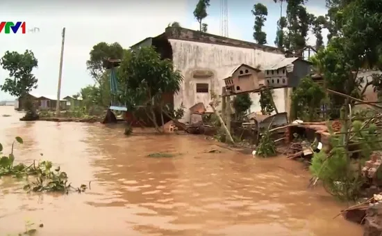 An Giang: Di dời khẩn cấp 5 hộ dân khỏi vùng sạt lở nguy hiểm