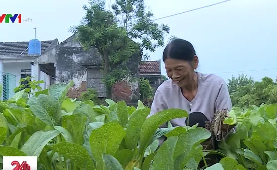 Bức họa đồng quê mới ở Yên Khánh, Ninh Bình